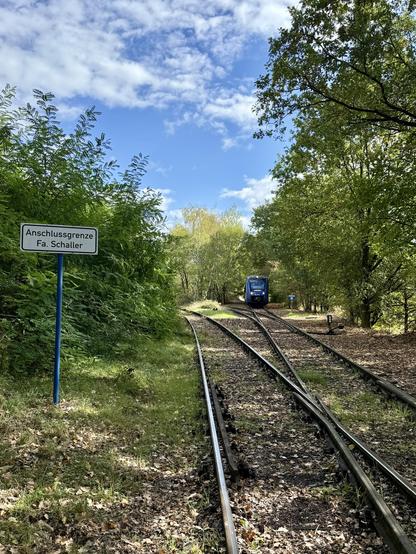 Schild „Anschlussgrenze Fa. Schaller“ links neben sich verzweigender Gleise, die von Bäumen und Sträuchern umgeben sind. Rechts hinten wartet der LINT.