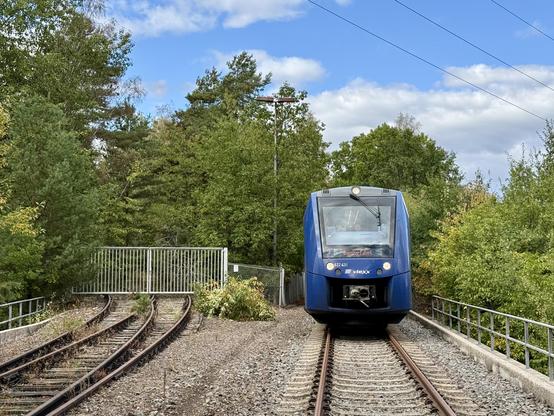 Links der abgetrennte Anschluss, rechts auf dem zum Kraftwerk weiterführenden Gleis der LINT.