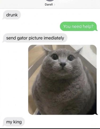 A text conversation;

Them: drunk

Reply: you need help?

Them: send gator picture imediately

Reply: (a picture of a cat)

Them: my king