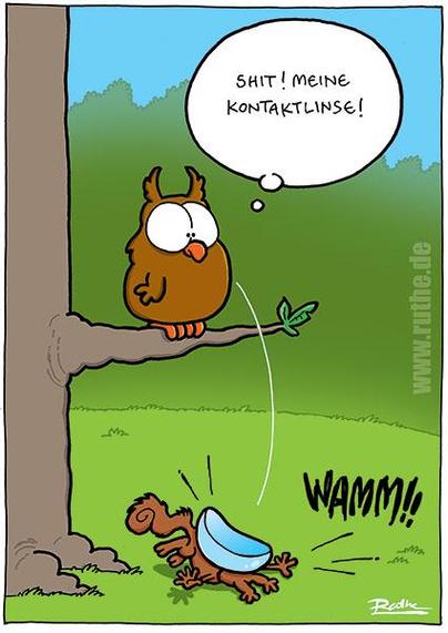 Eine Eule mit großen Augen sitzt auf einem Ast. Aus einem ihrer Augen fällt eine riesige, gewölbte Glasplatte und erschlägt unter sich ein Eichhörnchen. Eule (denkt): "Shit! Meine Kontaktlinse!"