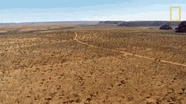 View of parched, barren land