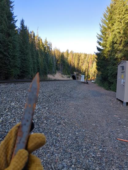 a gloved hand holding a rail spike next to a railroad looking towards a tunnel. the rail runs through a wooded hilly area on a very wide gravel berm. some signalling equipment is visible, and the light is spilling down across the trees on the hill the tunnel enters