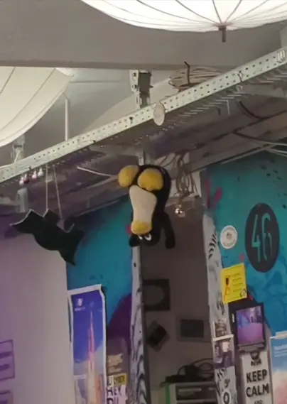 A penguin plushie hanging upside down from a cable tray in a hackerspace. Various posters and decals are visible on a sliding door behind it and the two lamps visible in the frame are upside down umbrellas fixed to the ceiling.