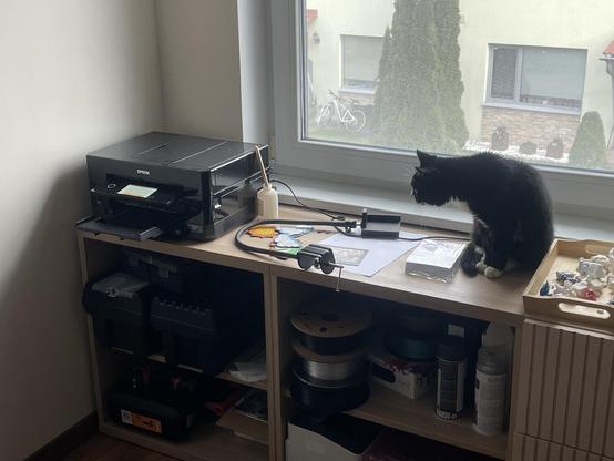 My cat, sitting some distance away from a printer that has just started printing, somewhat skeptical