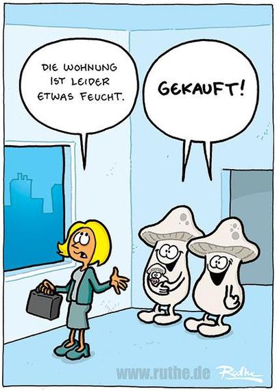 Eine Immobilienmaklerin steht in einem Raum, zeigt um sich und sagt: "Die Wohnung ist leider etwas feucht." Hinter ihr stehen zwei Pilze (mit Baby-Pilz auf dem Arm) und sagen begeistert: "Gekauft!"